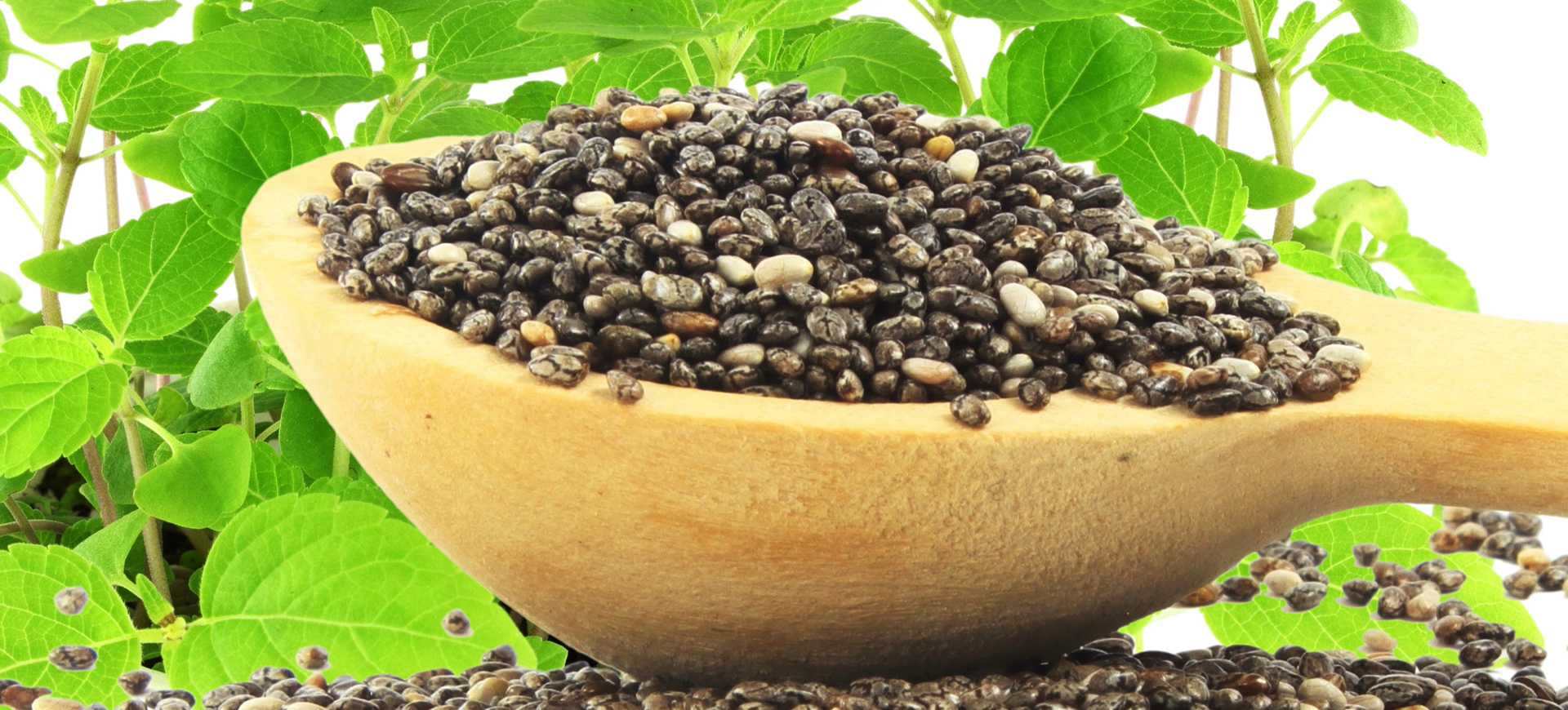 Chia Seeds
